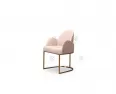 DV-01Dining Chair